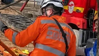 Operação de resgate a potro que caiu em rio mobiliza bombeiros e veterinários; Veja vídeo